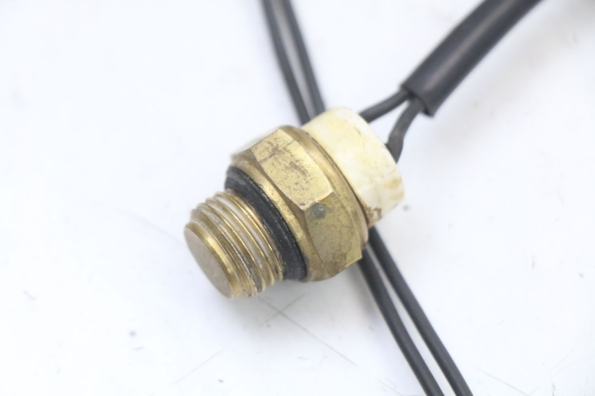 photo de THERMO SWITCH REGAL RAPTOR RAXTER 2 125 (2007 - 2015) - Alternative perspective