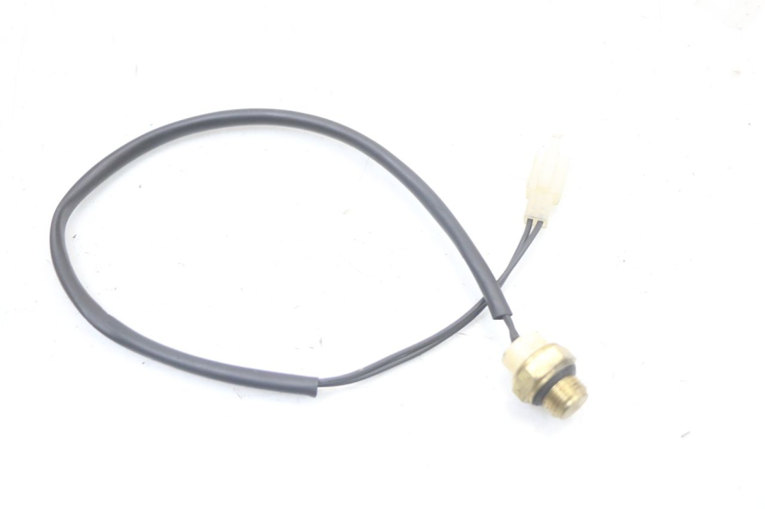 photo de THERMO SWITCH REGAL RAPTOR SPYDER 125 (2010 - 2018) - Zoom on usage condition