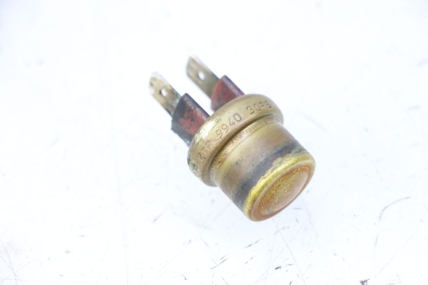 photo de THERMO SWITCH TRIUMPH SPRINT 900 (1995 - 1998) - Main view