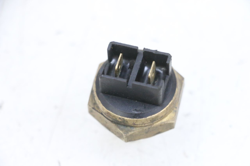 photo de THERMO SWITCH KSR TR SM 50 (2015 - 2018) - Component detail