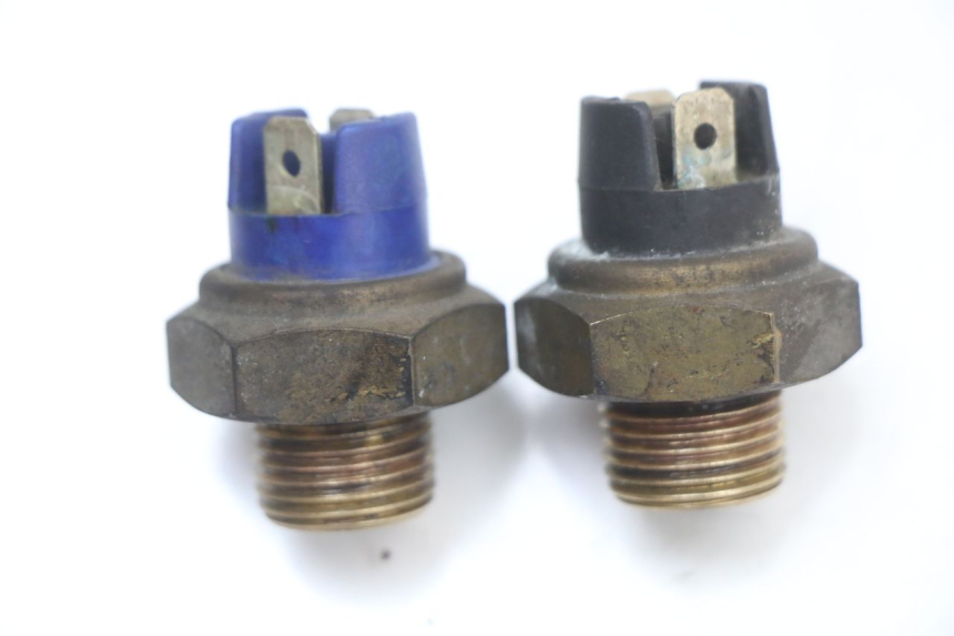 photo de THERMOCONTACT YAMAHA YP MAJESTY 125 (2002 - 2006) - Zoom on usage condition