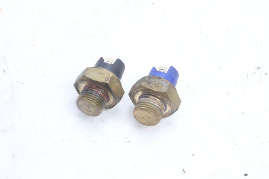 photo de THERMOCONTACT YAMAHA YP MAJESTY 125 (2007 - 2010) - Zoom on usage condition