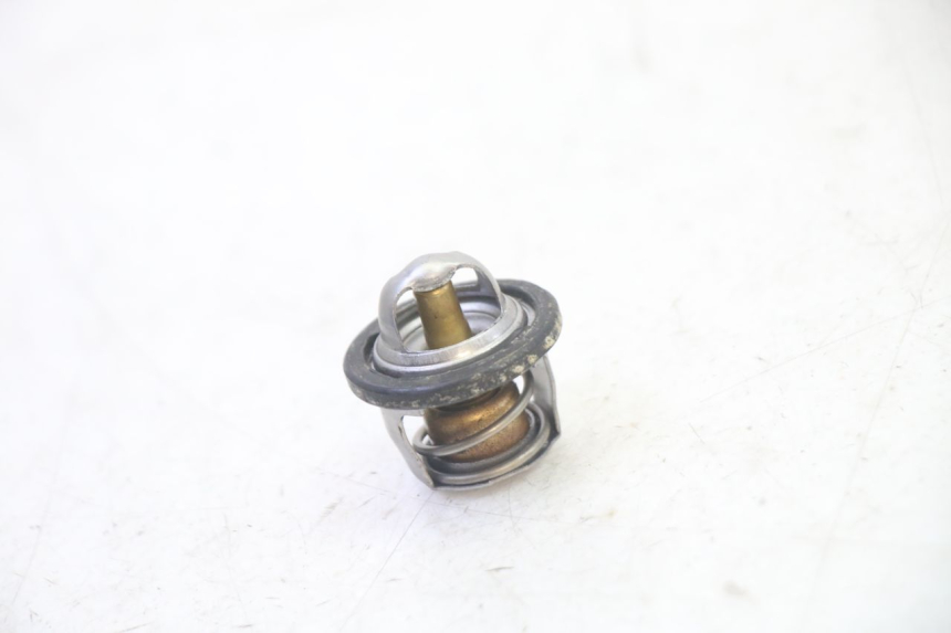 photo de THERMOSTAT SUZUKI BURGMAN 125 (2007 - 2014) - Main view