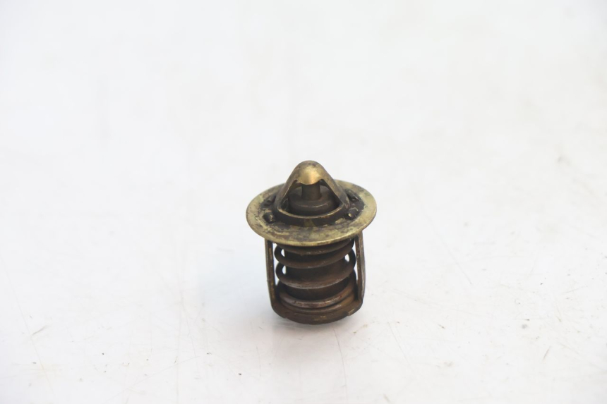 photo de THERMOSTAT HM HONDA DERAPAGE 50 (2007 - 2009) - Main view