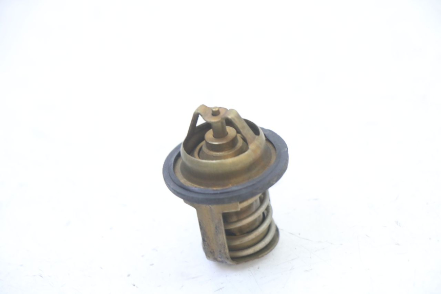 photo de THERMOSTAT PEUGEOT ELYSEO 125 (1999 - 2004) - Main view