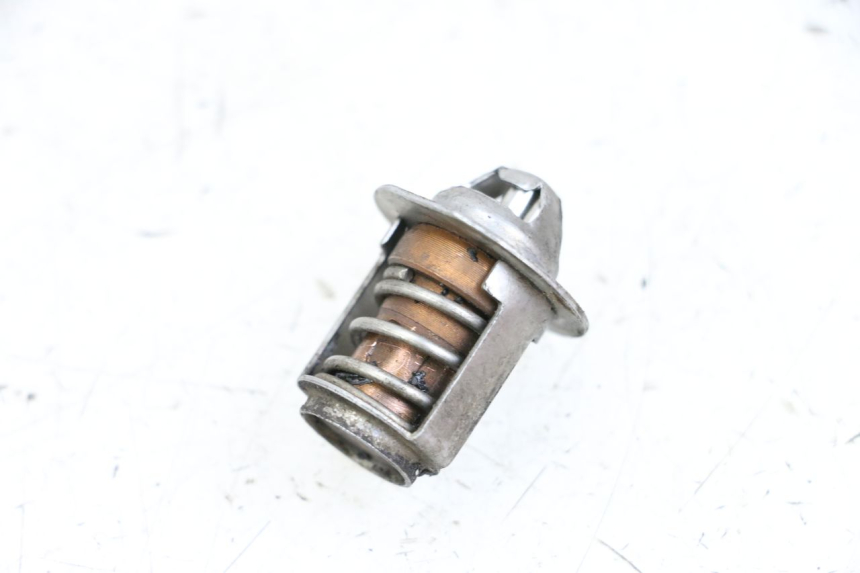 photo de THERMOSTAT NECO GPX LC 2T 50 (2014 - 2018) - Main view