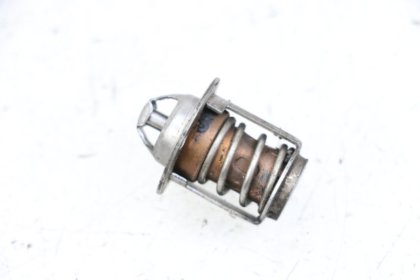 photo de THERMOSTAT NECO GPX LC 2T 50 (2014 - 2018) - Zoom on usage condition