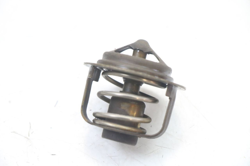photo de THERMOSTAT HONDA VT C2 SHADOW 750 (1997 - 2001) - Alternative perspective