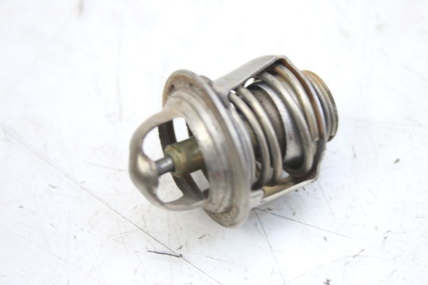 photo de THERMOSTAT PIAGGIO MP3 RL 250 (2006 - 2010) - Zoom on usage condition