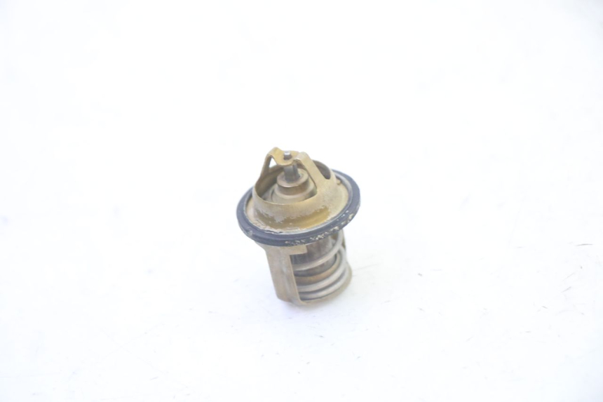 photo de THERMOSTAT PEUGEOT SATELIS 125 (2013 - 2018) - Main view