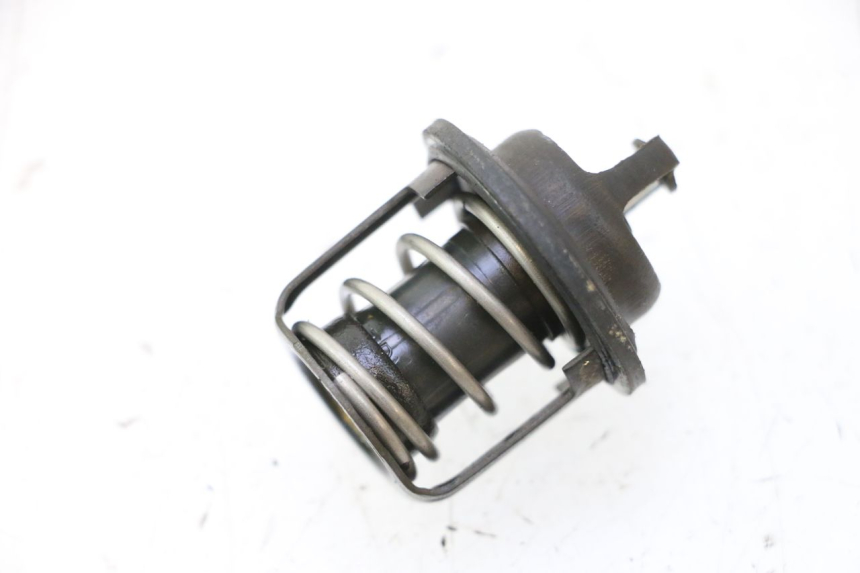 photo de THERMOSTAT PEUGEOT SATELIS 125 (2006 - 2009) - Main view