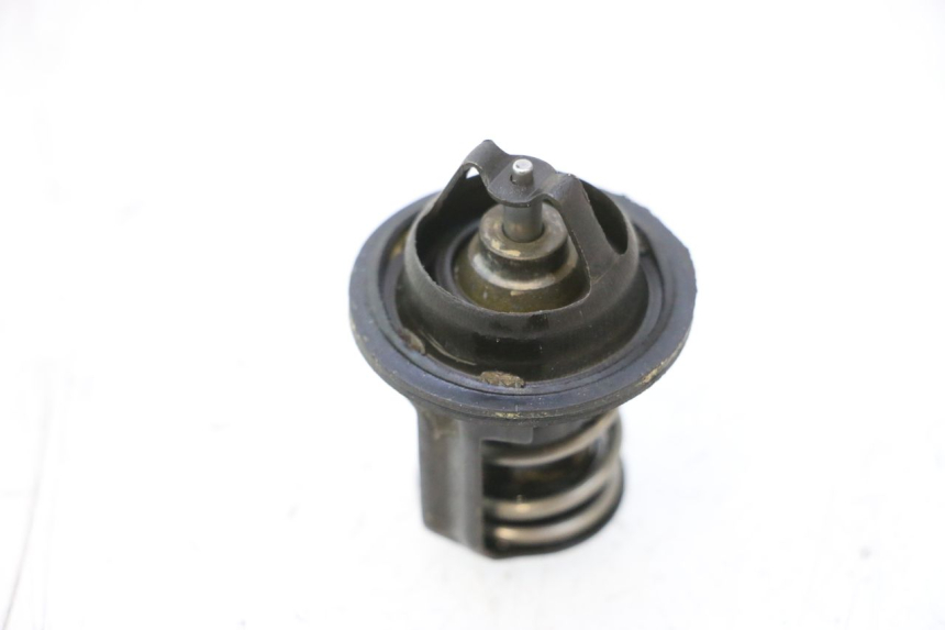 photo de THERMOSTAT PEUGEOT SATELIS 125 (2006 - 2009) - Alternative perspective
