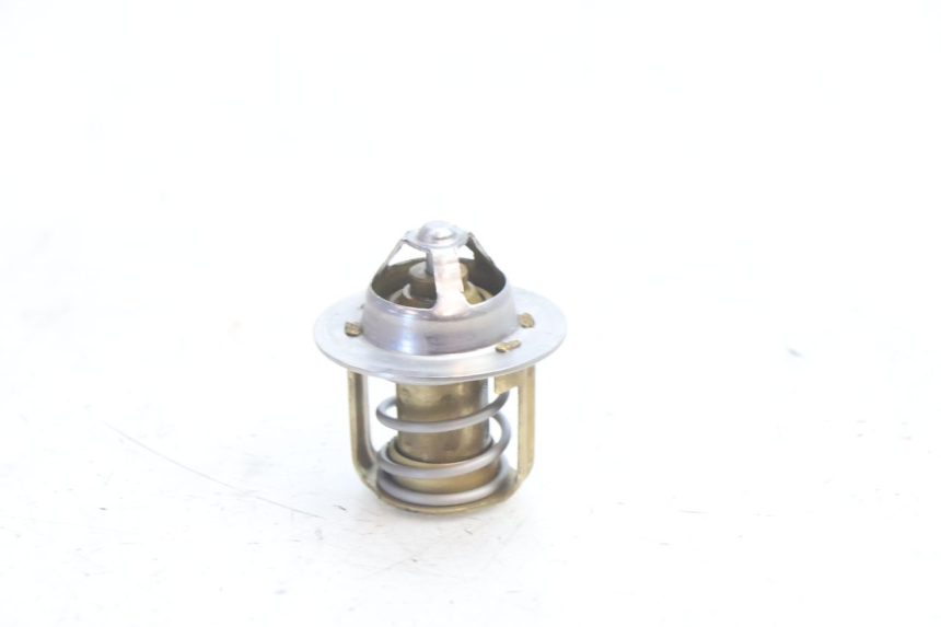 photo de THERMOSTAT HUSABERG TE 250 (2011 - 2014) - Main view