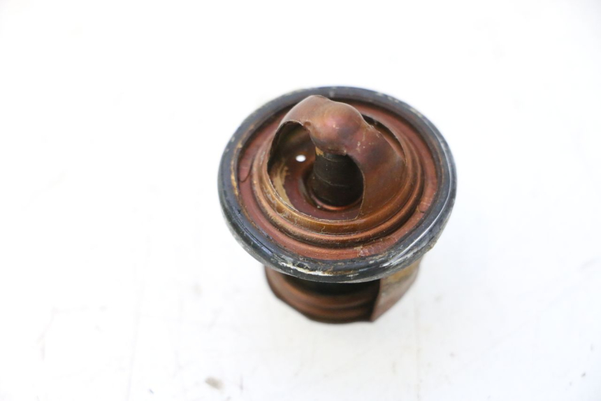 photo de THERMOSTAT YAMAHA XMAX X-MAX 125 (2006 - 2009) - Alternative perspective