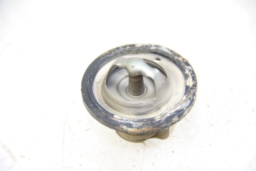 photo de THERMOSTAT YAMAHA XP T-MAX TMAX 500 (2004 - 2007) - Zoom on usage condition