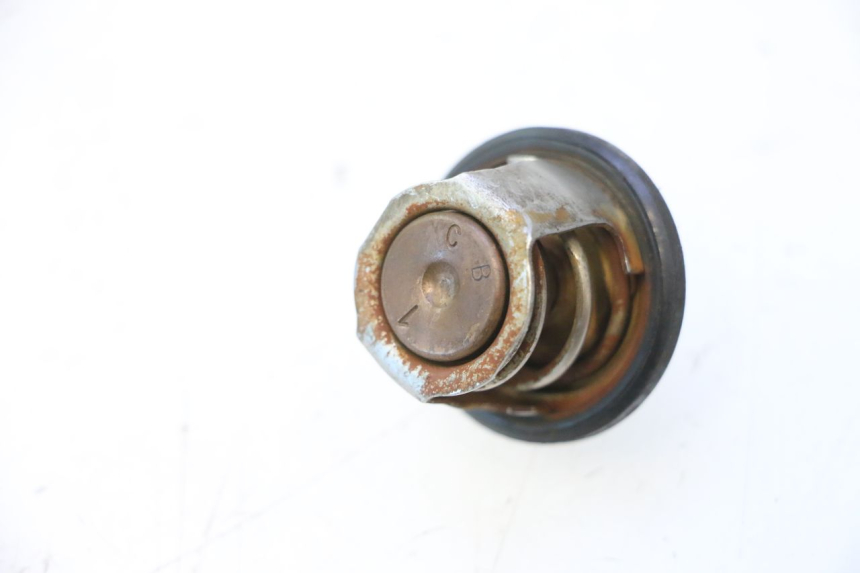 photo de THERMOSTAT YAMAHA YP MAJESTY 125 (2007 - 2010) - Component detail