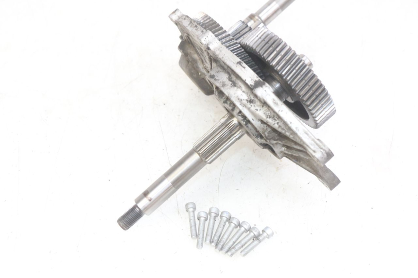 photo de WHEEL TRANSMISSION APRILIA SCARABEO LIGHT 125 (2007 - 2011) - Alternative perspective