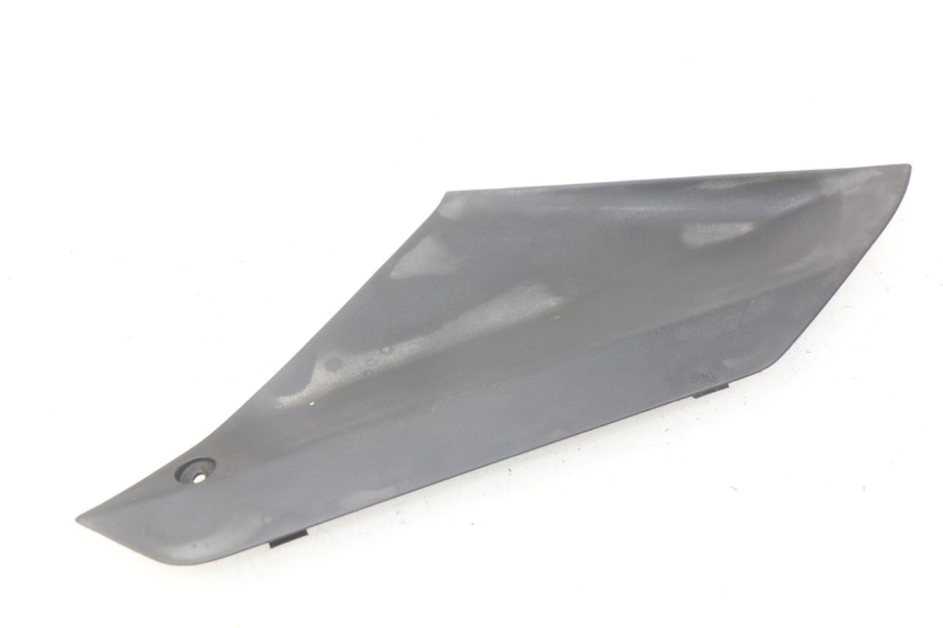 photo de LEFT SIDE ACCESS PANEL PEUGEOT GEOPOLIS 400 (2007 - 2013) - Component detail