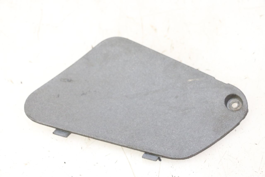 photo de LEFT SIDE ACCESS PANEL PIAGGIO X9 EVOLUTION 125 (2003 - 2007) - Main view