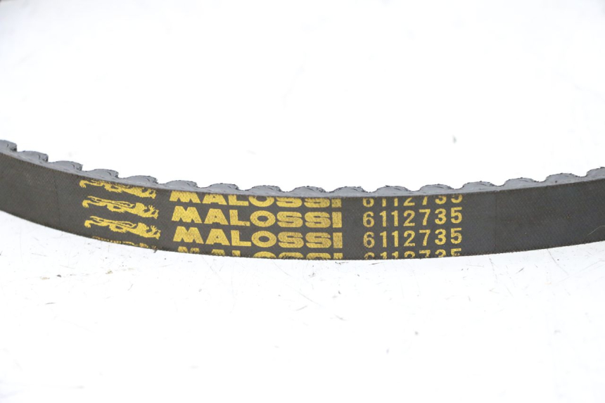 photo de VARIATOR PEUGEOT CITYSTAR 50 (2013 - 2017) - Alternative perspective