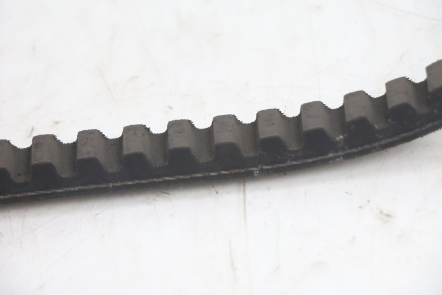 photo de VARIATOR TNT MOTOR ROMA 12' 2T 50 (2007 - 2018) - Component zoom