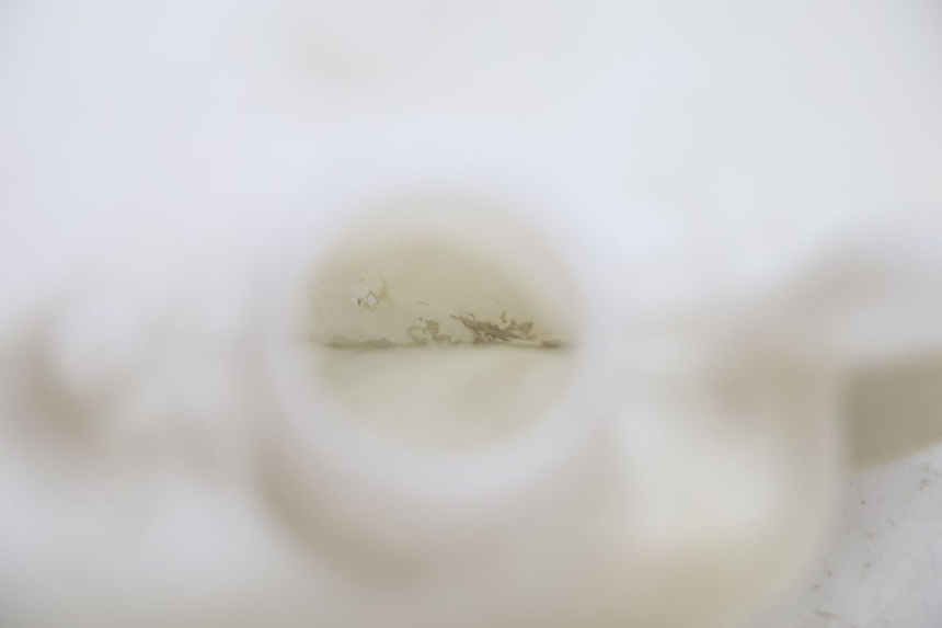 photo de COOLANT EXPANSION BOTTLE KAWASAKI ER-6 ER6 N 650 (2005 - 2009) - Alternative perspective