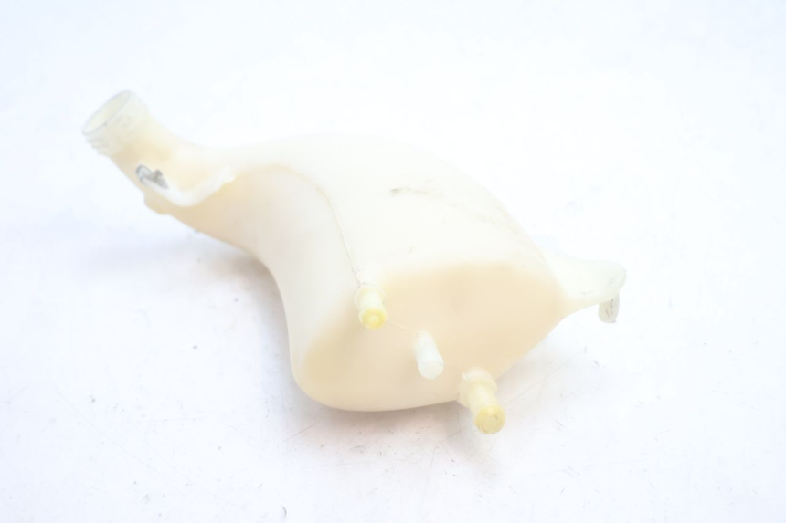 photo de COOLANT EXPANSION BOTTLE PIAGGIO MP3 500 (2016 - 2018) - Technical close-up