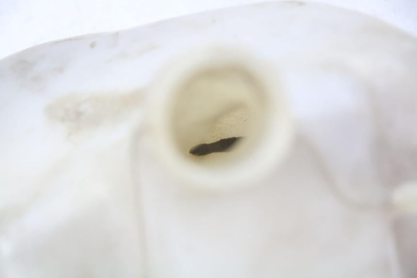 photo de EXPANSION TANK GILERA NEXUS 125 (2009 - 2013) - Component detail