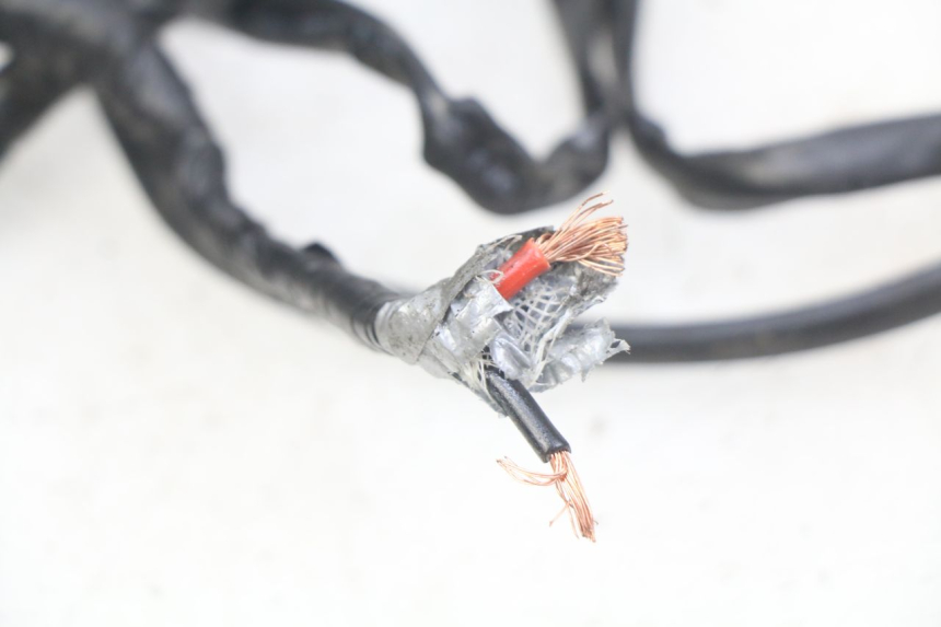 photo de POSITION LIGHT HONDA CB R 1000 (2018 - 2023) - Distinctive features