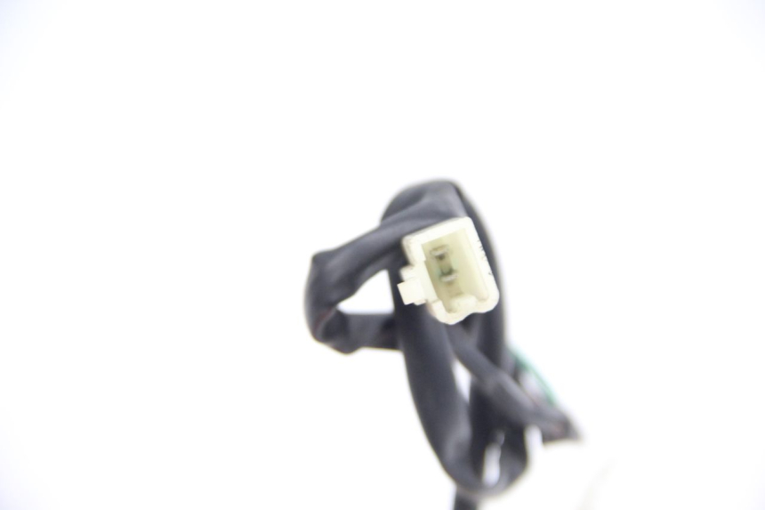 photo de PILOT LIGHT JM MOTORS F45i 4T 50 (2020 - 2023) - Alternative perspective