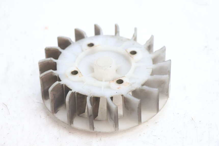 photo de FAN PEUGEOT BUXY 50 (1993 - 1998) - Zoom on usage condition
