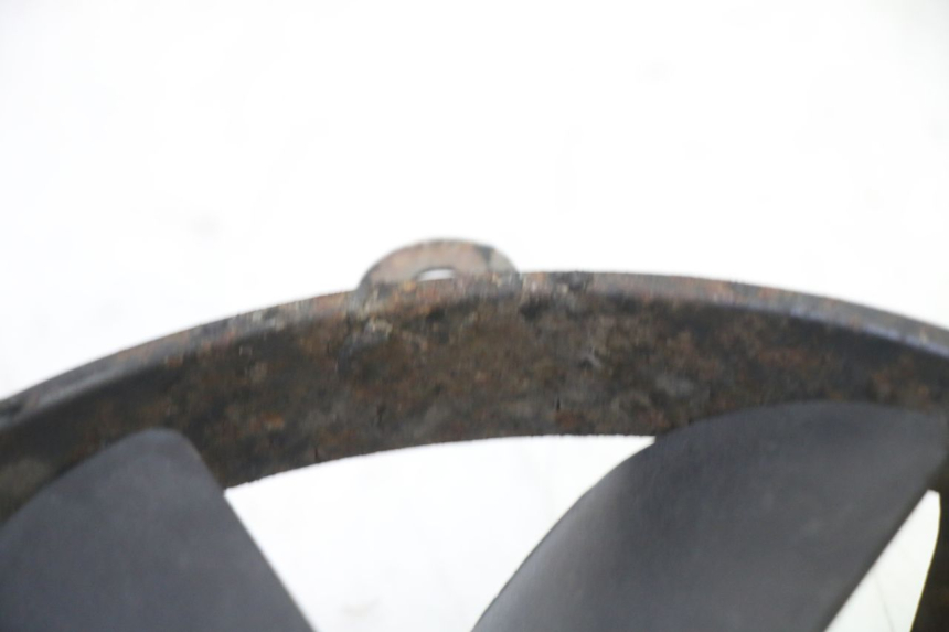 photo de FAN HONDA CBR RR FIREBLADE 900 (1992 - 1994) - Zoom on usage condition