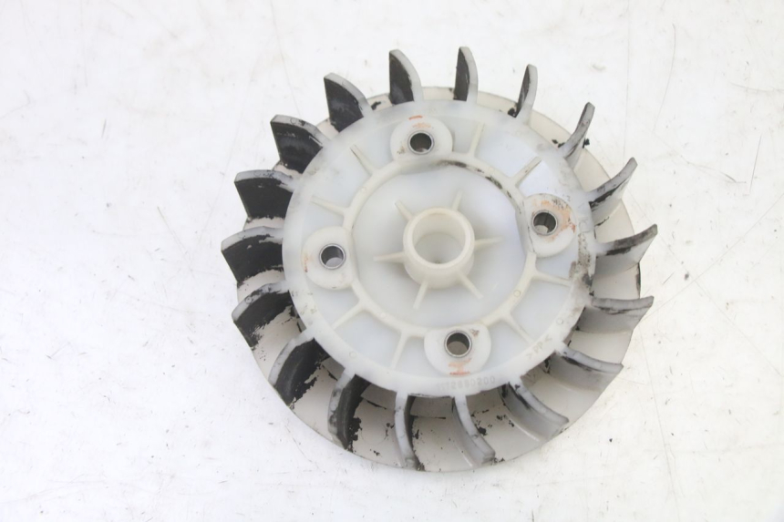 photo de FAN PEUGEOT ELYSTAR 50 (2002 - 2014) - Zoom on usage condition