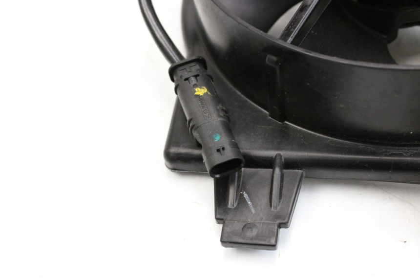 photo de FAN BMW F GS K81 850 (2018 - 2023) - Alternative perspective