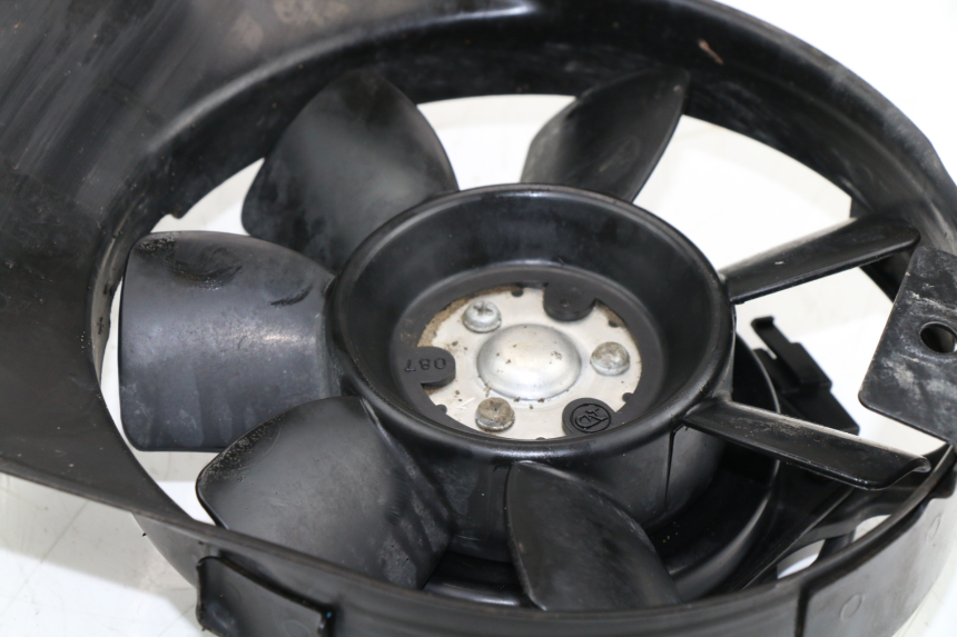 photo de FAN YAMAHA FZX FAZER 750 (1987 - 1998) - Alternative perspective