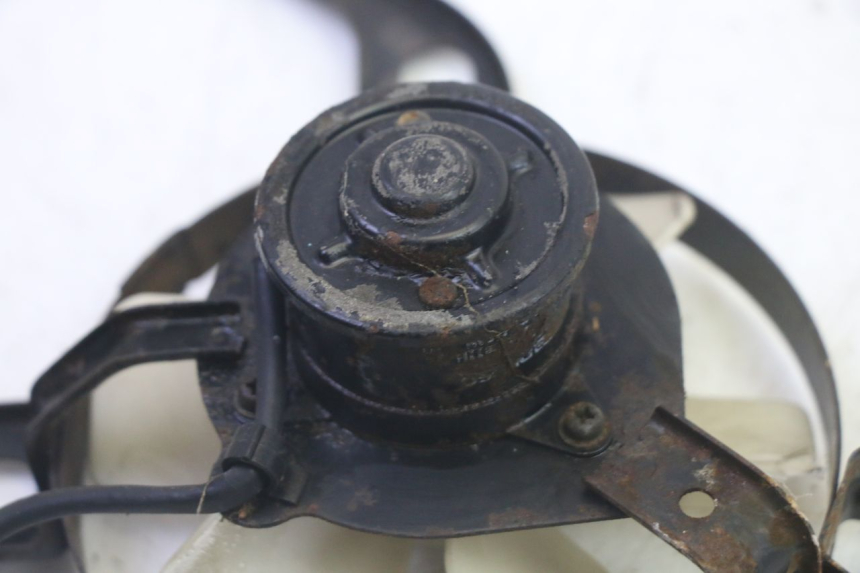 photo de FAN KAWASAKI GPX R WARBIRD 600 (1988 - 1993) - Product overview