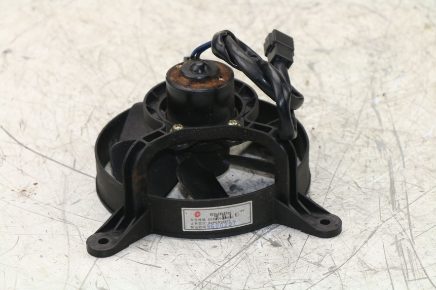 photo de FAN SYM JOYRIDE 125 (2002 - 2009) - Component detail