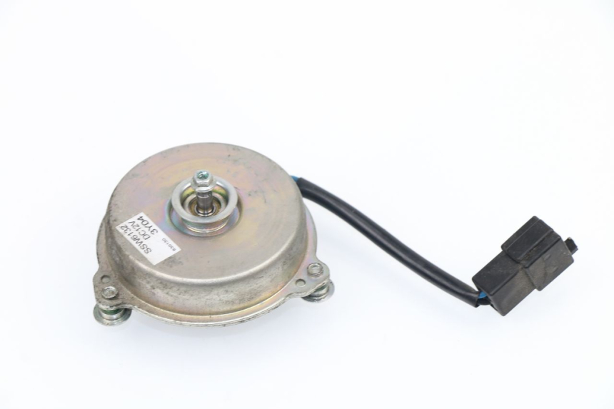 photo de FAN KAWASAKI NINJA 300 (2012 - 2017) - Main view