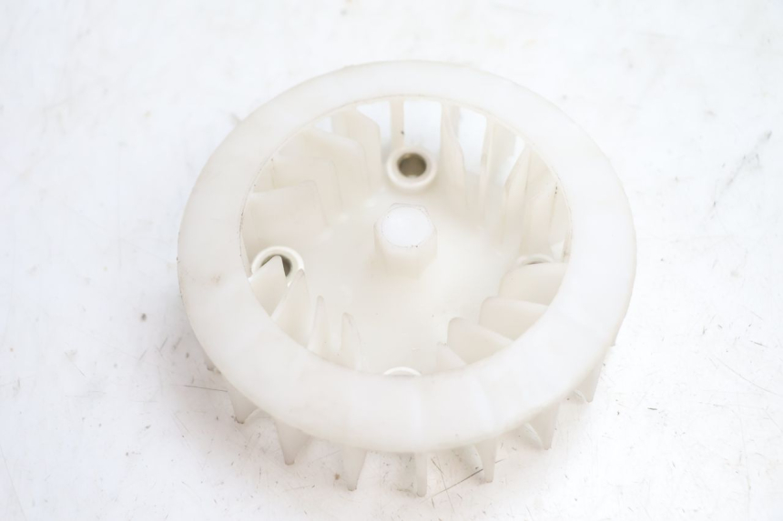 photo de FAN LAZIO RENO 50 (2016 - 2021) - Component detail