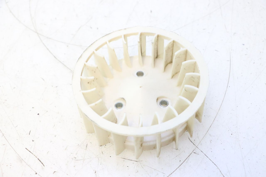 photo de FAN TNT MOTOR ROMA 12' 2T 50 (2007 - 2018) - Zoom on usage condition