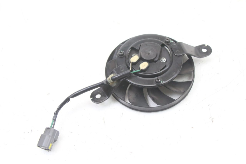 photo de FAN HONDA SH i 300 (2015 - 2020) - Zoom on usage condition