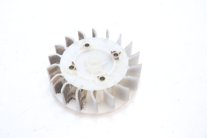 photo de FAN PEUGEOT SPEEDFIGHT 2 AC 50 (2000 - 2009) - Zoom on usage condition