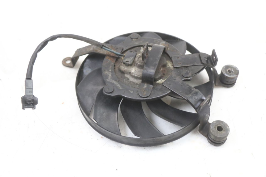 photo de FAN SUZUKI GSX F GSXF 650 (2007 - 2015) - Alternative perspective