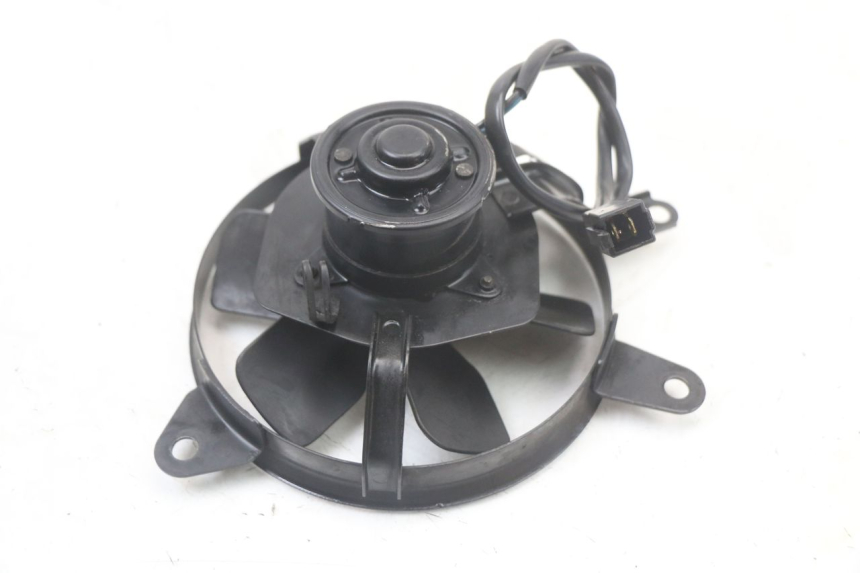 photo de FAN SUZUKI SV S 650 (1999 - 2002) - Alternative perspective