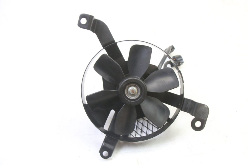 photo de FAN SUZUKI SV S 650 (2003 - 2009) - Main view