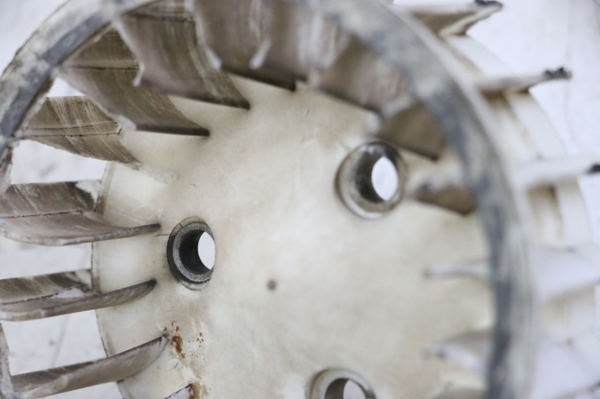 photo de FAN TNT MOTOR ROMA 10' 2T 50 (2011 - 2018) - Component detail