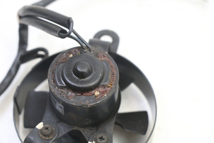 photo de FAN HONDA XLV VARADERO 125 (2000 - 2006) - Alternative perspective