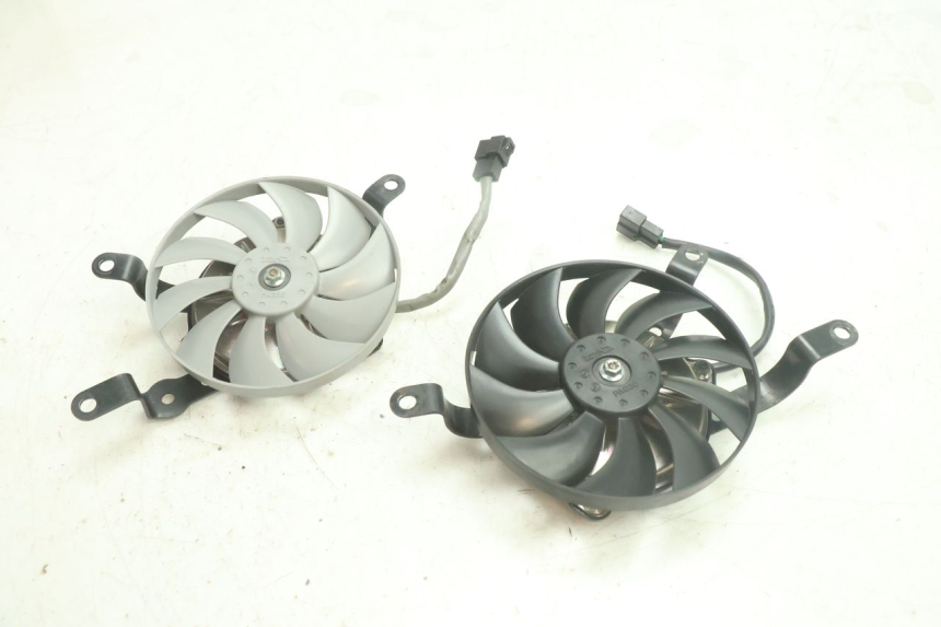 photo de FAN YAMAHA YZF R6 600 (2008 - 2009) - Main view