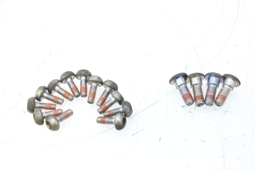 photo de BRAKE DISC BOLT HONDA CB F HORNET 600 (2005 - 2006) - Main view