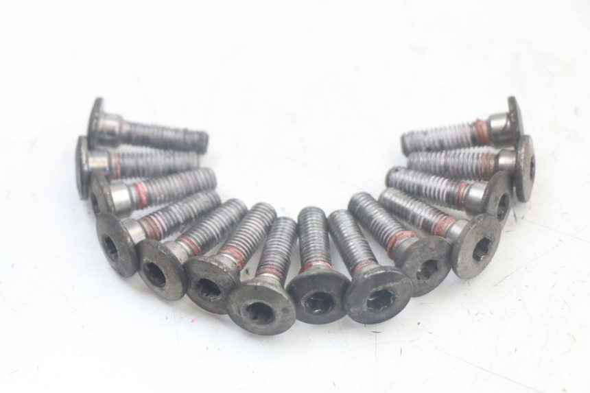 photo de BRAKE DISC BOLT KAWASAKI ER-6 ER6 N 650 (2012 - 2016) - Main view